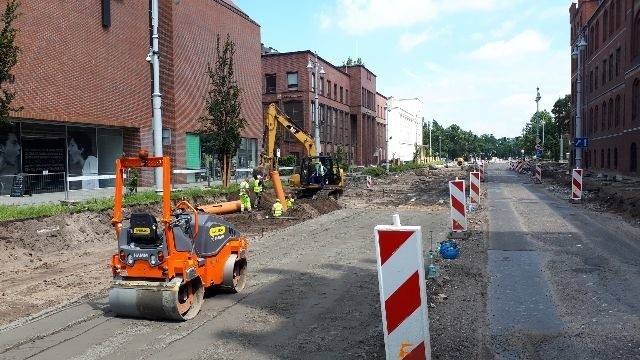 Następnie teren zostanie udostępniony do badań...