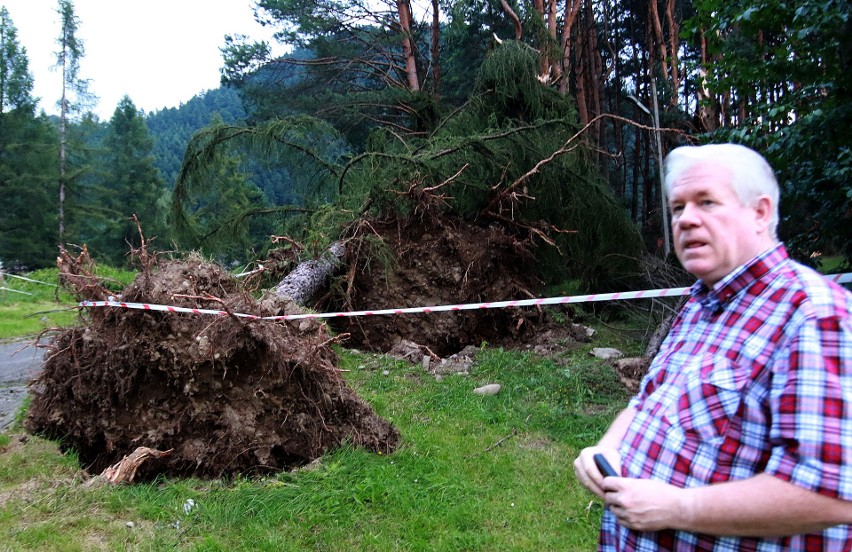 Piwniczna. 40 sekund horroru. Dobę po katakliźmie zniszczony las przeraża [ZDJĘCIA]