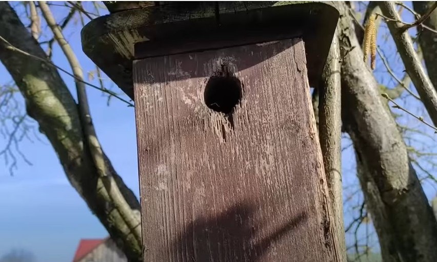 I pokazuje, jak czyścić te stare