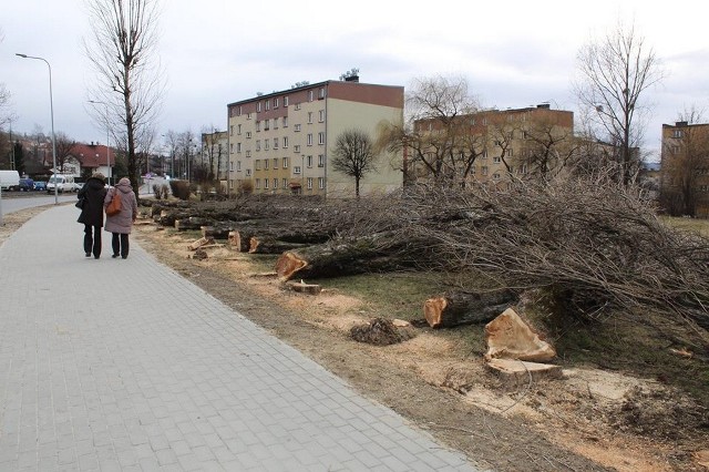 Takie widoki „podziwiali” mieszkańcy Andrychowa na niedzielnym spacerze