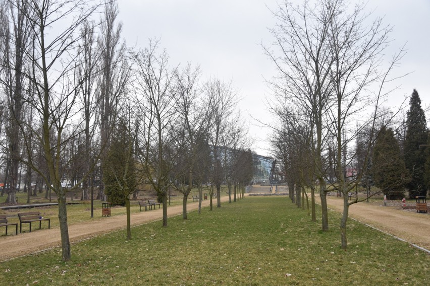 Pierwszy dzień wiosny w parku im. Fusińskiego w Sosnowcu. Trwają wiosenne porządki w Ogrodzie Bioróżnorodności