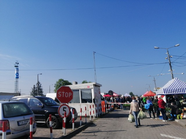 Sandomierski plac targowy - "targowica" zmieni swój wygląd. Powstaje projekt przebudowy