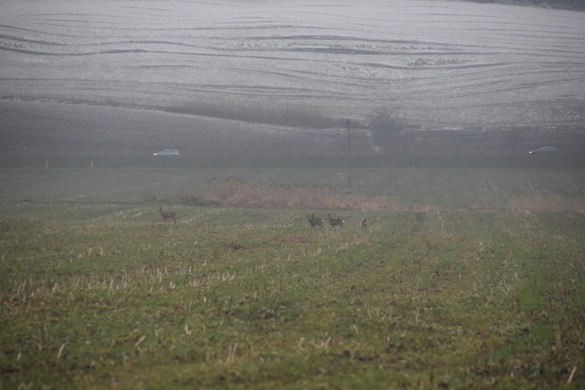 Teren, dla którego kreślone sa nowe plany zagospodarowania...