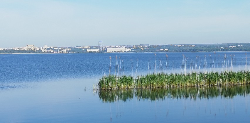 Droga rowerowa do Lubczyny czeka na projekt. Rowerzyści i tak już jeżdżą