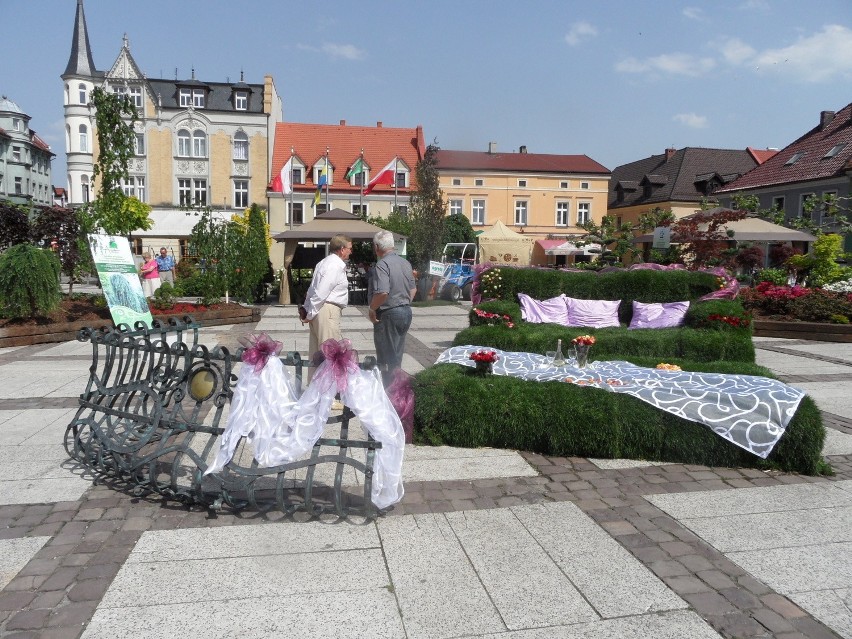 Daisy Days 2014. Ogrody Daisy już na rynku w Pszczynie [ZOBACZ ZDJĘCIA]