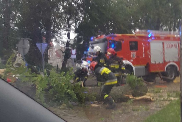 Przewrócone drzewo w Mielnie zablokowało przejazd przez miejscowość.