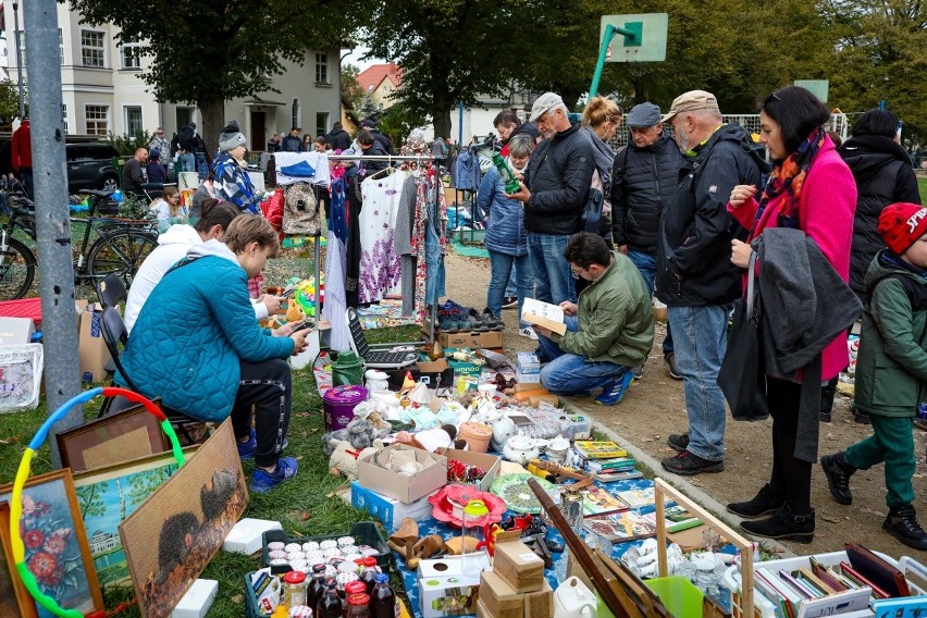 Pchli Targ na Pogodnie w Szczecinie