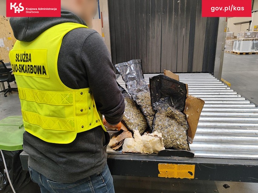 W terminalu cargo lotniska w Pyrzowicach pies Kodi wytropił w przesyłce kurierskiej środki odurzające