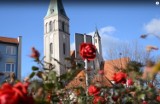 Olesno. "Róż(n)e miasto" [wideo]