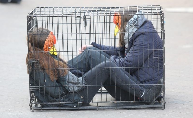 Protest miał zszokować i skłonić do przemyśleń.