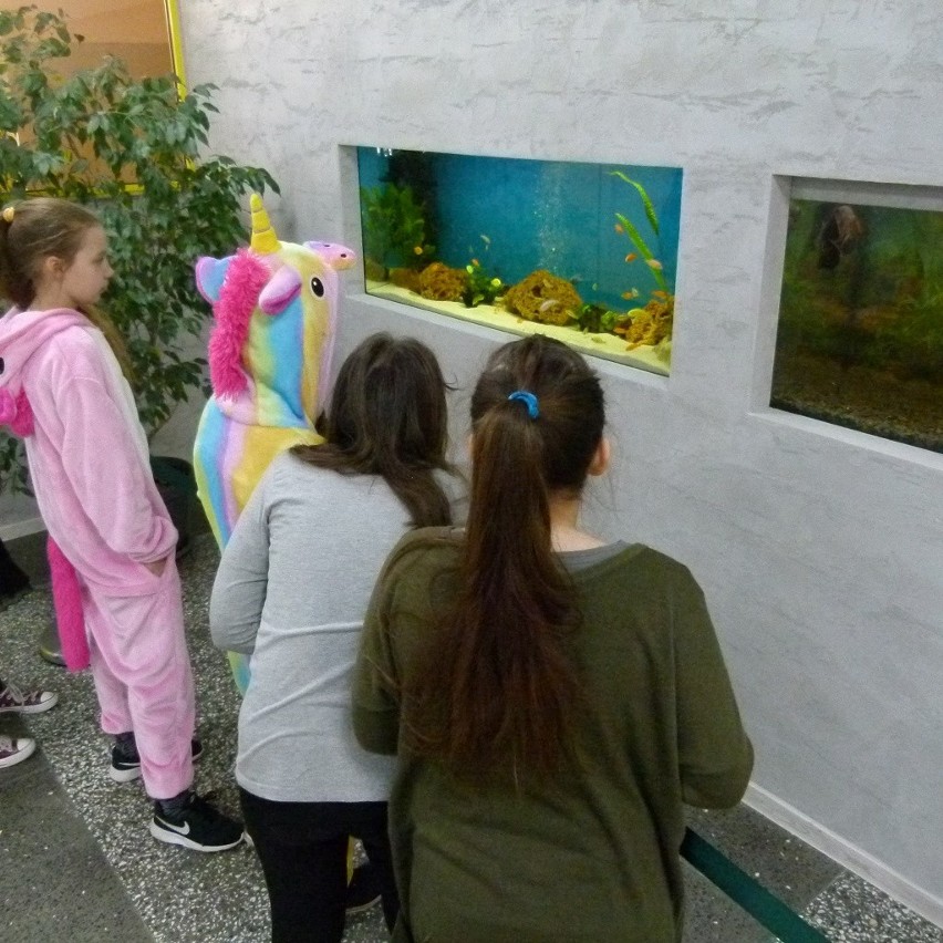 Akwaria z rybkami w holu Szkoły Podstawowej nr 1 w Kutnie 