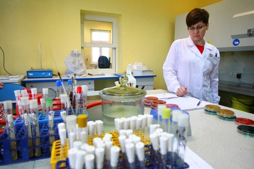 Sanepid w Poznaniu nie może badać niebezpiecznych bakterii....