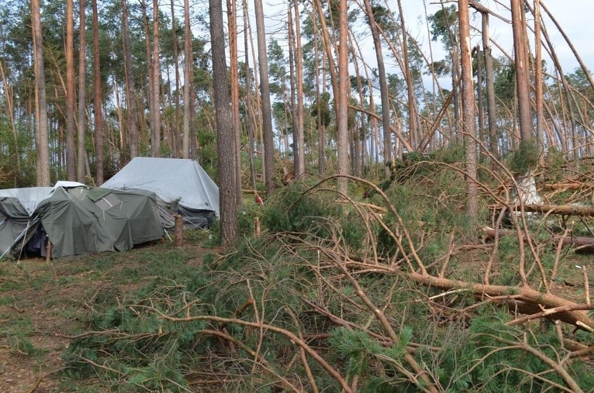 Burza i wichura na Pomorzu 11/12.08.2017. Trwa usuwanie skutków nawałnicy [ZDJĘCIA, WIDEO]