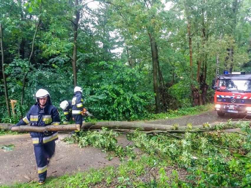 Akcja OSP Tęgoborze w miejscowościach Świdnik i Skrzętla