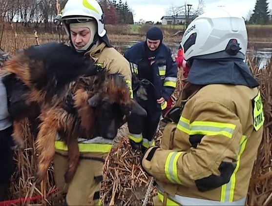 Do zdarzenia doszło we wsi Batyń w powiecie świdwińskim.