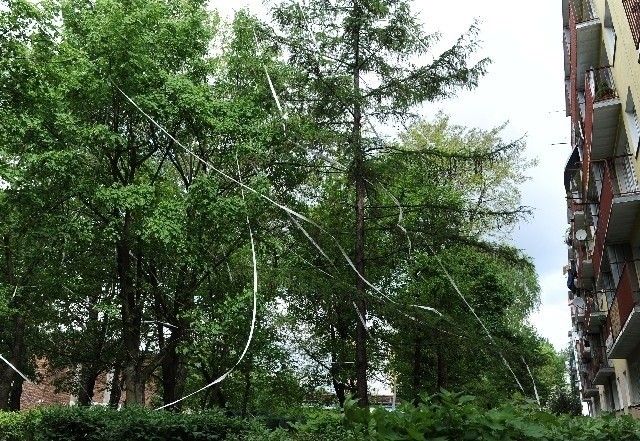 Wynajęta ekipa ma zająć się we wtorek uprzątnięciem taśm z ul. Umińskiego