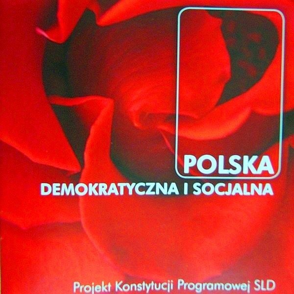 Założenia programowe zawarte zostały  w projekcie Konstytucji Programowej SLD