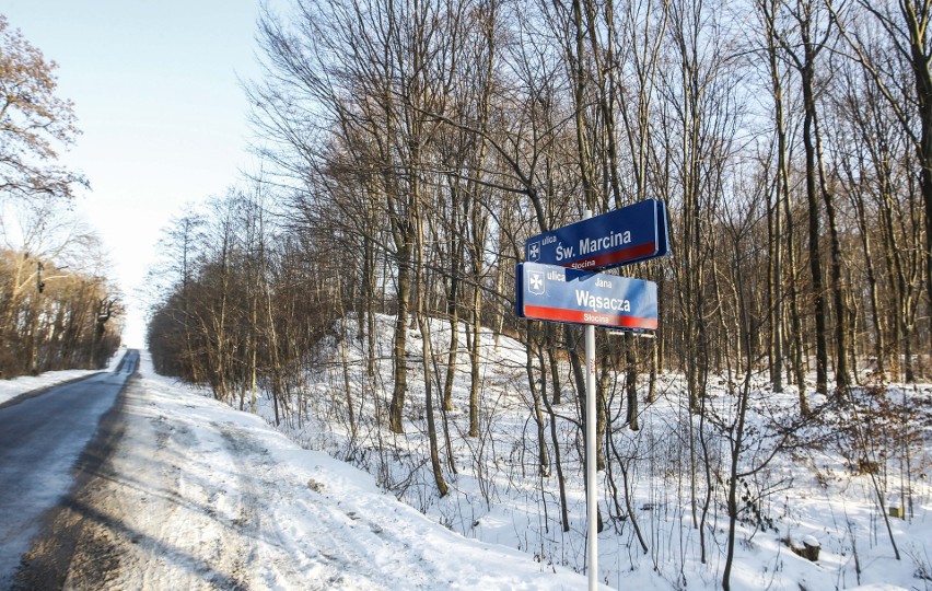 Na Słocinie w Rzeszowie będzie „las miejski”? Na razie to tylko plan [ZDJĘCIA]