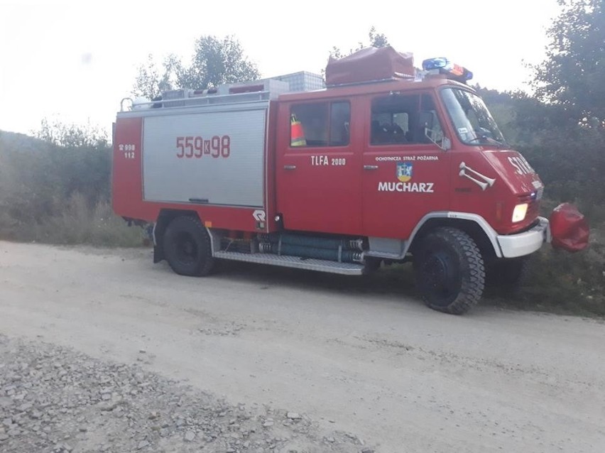 Do zdarzenia doszło nad brzegami zbiornika wodnego. Na...