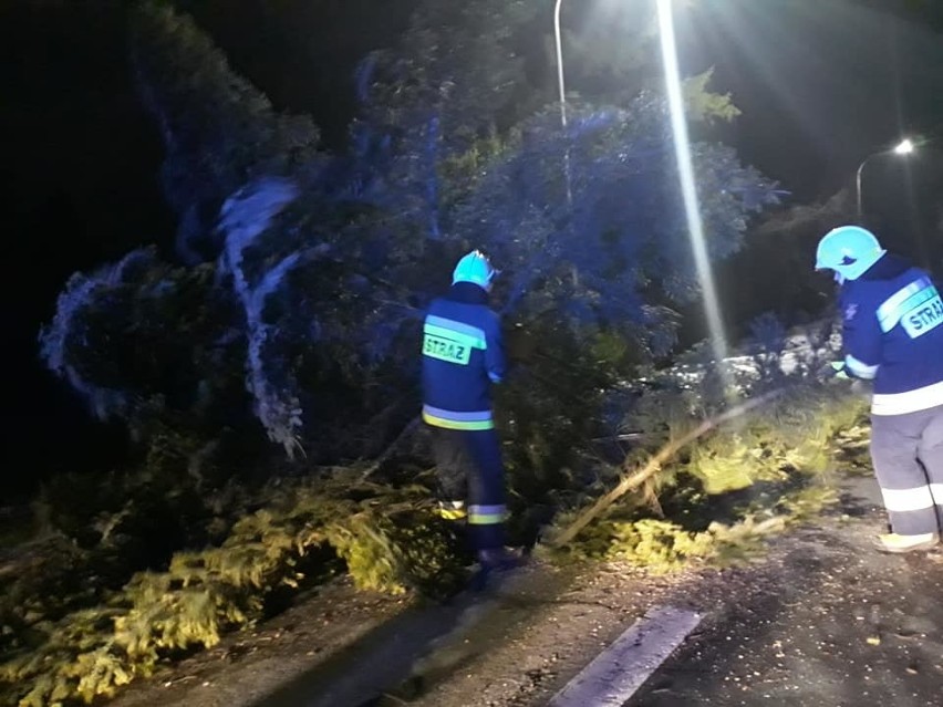 Wichury nad Podkarpaciem. Powalone drzewa i mnóstwo interwencji strażaków