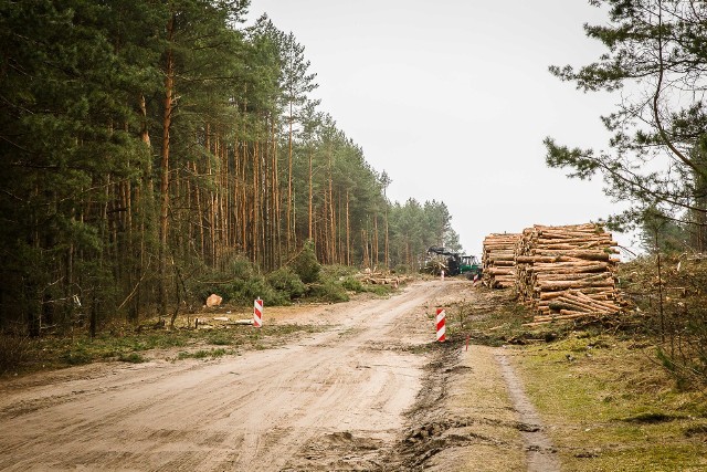 Budowa Trasy Niepodległości rozpoczęła się właśnie w lesie Bacieczki. Od połowy lutego wycięto już tutaj setki drzew. Wszystko zgodnie z ustaleniami. Prace będą trwały nadal.