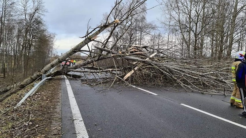 Uwaga! Wichury w regionie. Są już pierwsze straty (zdjęcia)