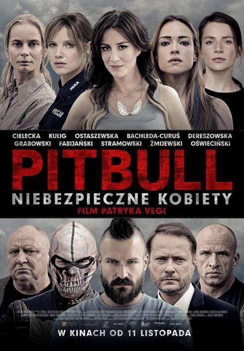 Pitbull 3: Niebezpieczne kobiety ONLINE. Cały film na CDA.PL...