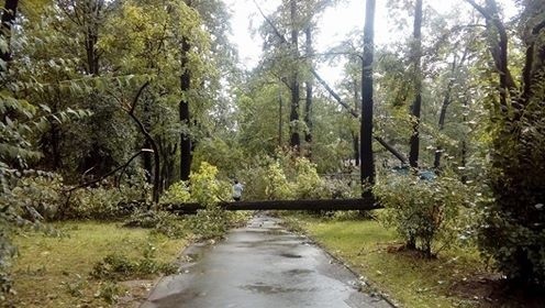 Burza w Łodzi. Nawałnica nad Łodzią. Powalone drzewa, gałęzie na drogach, zalane ulice [ZDJĘCIA]