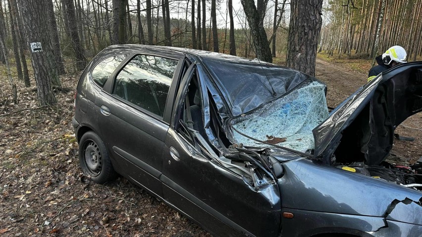 Groźny wypadek na Toruńskiej w Solcu Kujawskim. Renault uderzyło w drzewo - zobacz zdjęcia