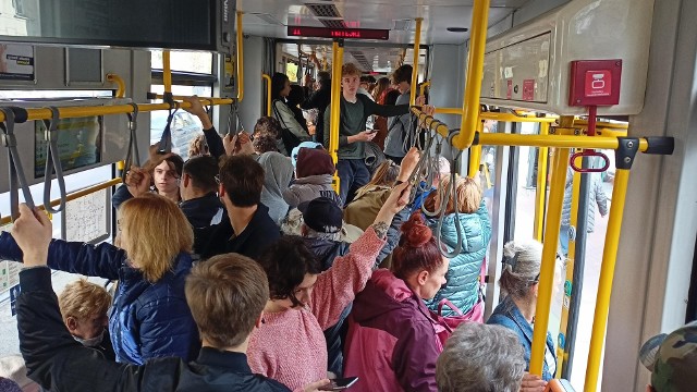 Tramwaje linii numer 6 są pełne pasażerów także poza godzinami szczytu. Zdjęcie zostało wykonane 30 października w „szóstce” chwilę po godzinie 12, przed przystaniem Bałtyk.