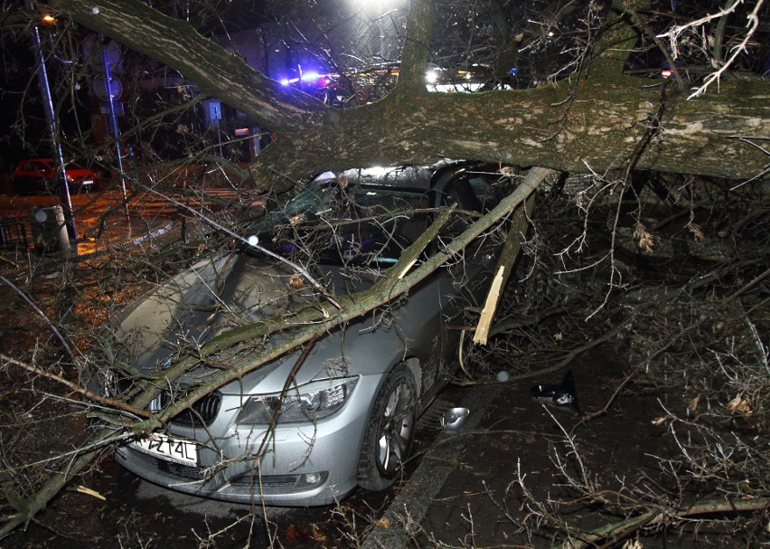 Powalone drzewo spadło na samochód przy ul. Kieleckiej w...