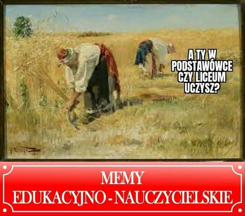 Zobacz najlepsze memy nawiązujące do słów ministra...