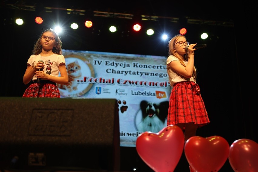 Koncert charytatywny „Kochaj czworonogi” w Janowie Lubelskim. Zbierano dary dla potrzebujących zwierząt. Zobacz zdjęcia