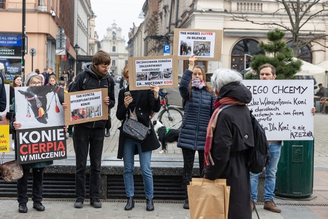 "Zarabianie pieniędzy na cierpieniu zwierząt jest nieetyczne" - mówiono podczas protestu przeciwko wykorzystywaniu koni do dorożek