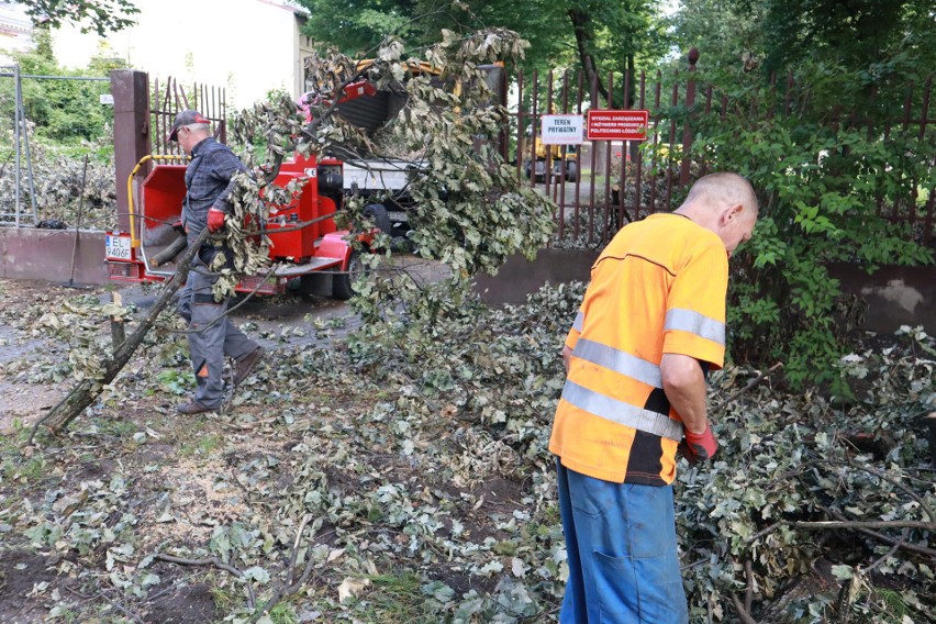 W łódzkich parkach wciąż leżą powalone przez wichurę drzewa 