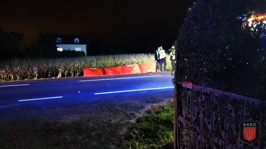 Wypadek w Trzebieńczycach koło Zatora. Apel policji do świadka śmiertelnego wypadku: skontaktuj się z najbliższą jednostką policji  