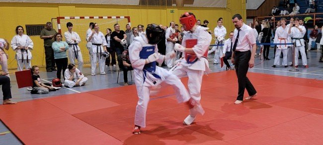Mistrzostwa Podkarpacia Karate Kyokushin. W Dębicy startowało 269 zawodników