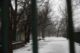 Kraków. Przyjęto plan miejscowy "Kleparz". Park Jalu Kurka w planie oficjalnie parkiem. Kiedy otwarcie?