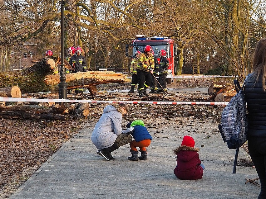 Do wydarzenia doszło w tzw. Parku Źródliska I - za...