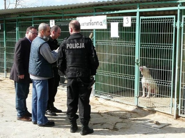 Strażnicy miejscy odwieźli psa do schroniska.