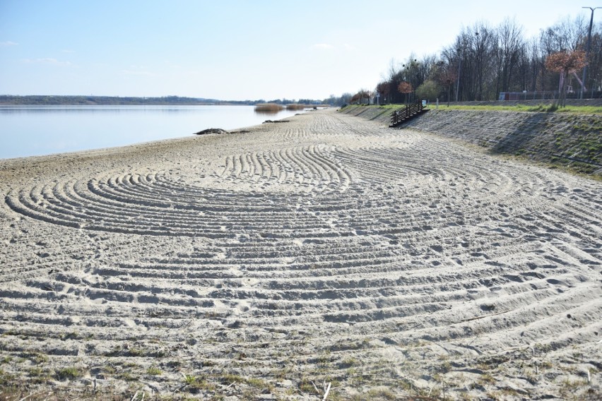 Porządki przed sezonem nad Jeziorem Tarnobrzeskim. Trwa sprzątanie plaż, będzie dostawa świeżego piasku (ZDJĘCIA)