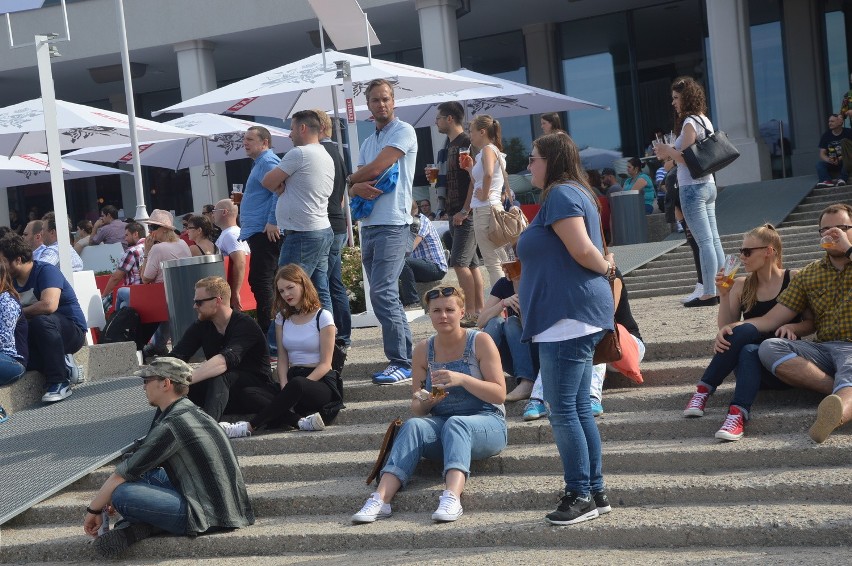 Męskie granie 2015 we Wrocławiu. Kilka tysięcy osób na Pergoli (MNÓSTWO ZDJĘĆ)