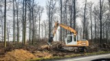Zniknie 150 drzew pod Lesznem. Trwa przebudowa drogi i budowa ścieżki rowerowej