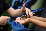 Pająki, dinozaury, gokarty i inne atrakcje na ferie w CH Osowa