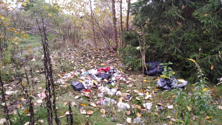 Śmieciowy problem przy ul. Topolowej w Koszalinie [ZDJĘCIA]