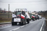 Protest Agrounii w Małopolsce. Rolnicy jechali traktorami z Niepołomic do Brzeska. Były utrudnienia na drogach ZDJĘCIA