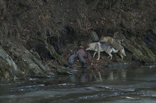 "Wataha" odcinek 6. (fot. Krzysztof Wiktor/HBO)