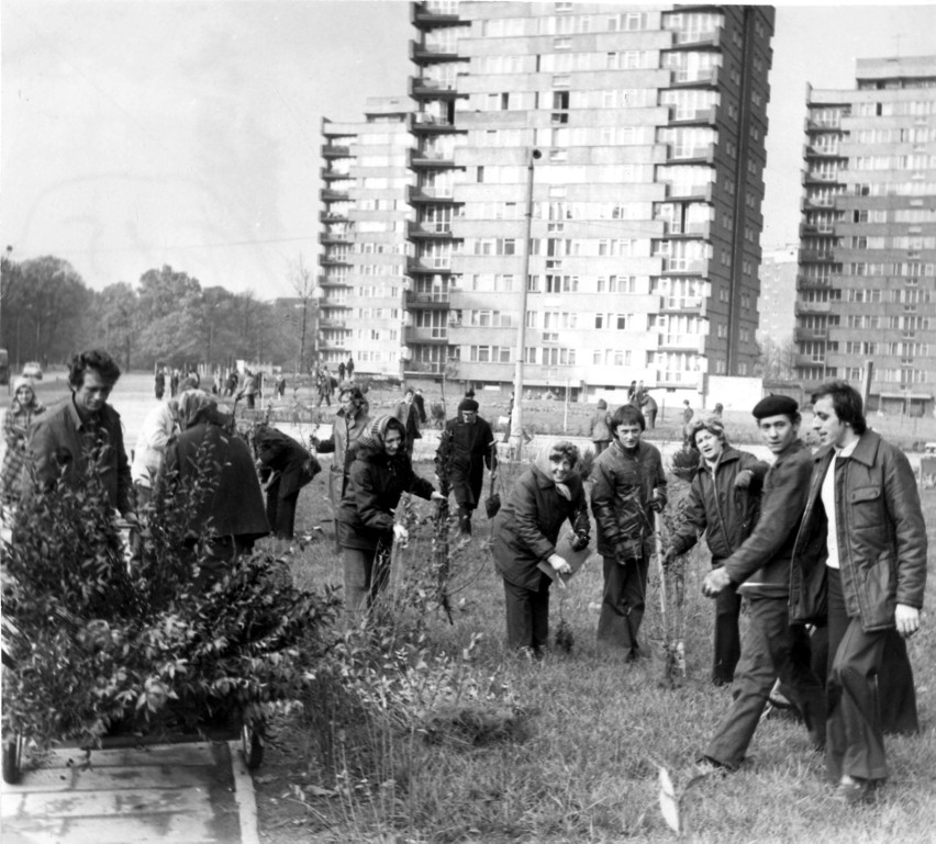 Wrocław, rok 1975. Sprzątanie trawnika w czynie społecznym