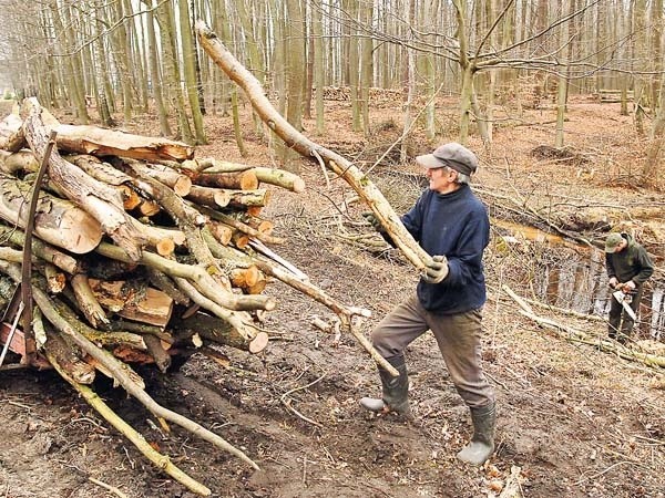 Wycinka na trasie krajowej nr 11 w okolicach Mścic ma potrwać do końca tego tygodnia. Kierowcy mogą natrafić na utrudnienia w ruchu. 