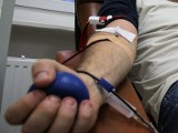 Polacy oddają osocze krwi za 15-30 euro. To handel swoim zdrowiem?
